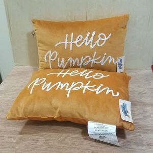 Decorative kidney pillows 2 count